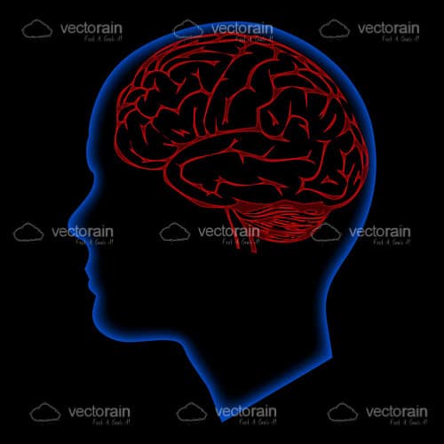 Electric Blue Outline of Human Head with Red Outlined Brain